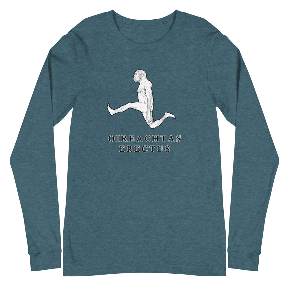Oireachtas Erectus